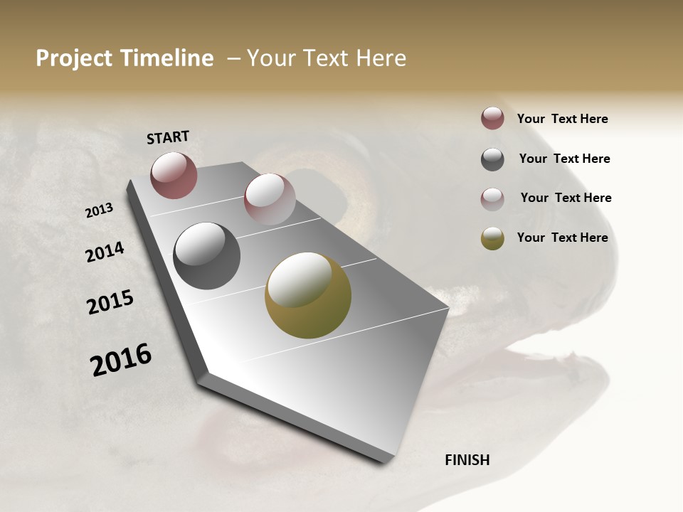 Real Macro Of Fish Head Isolated On White PowerPoint Template