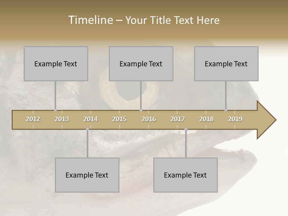 Real Macro Of Fish Head Isolated On White PowerPoint Template