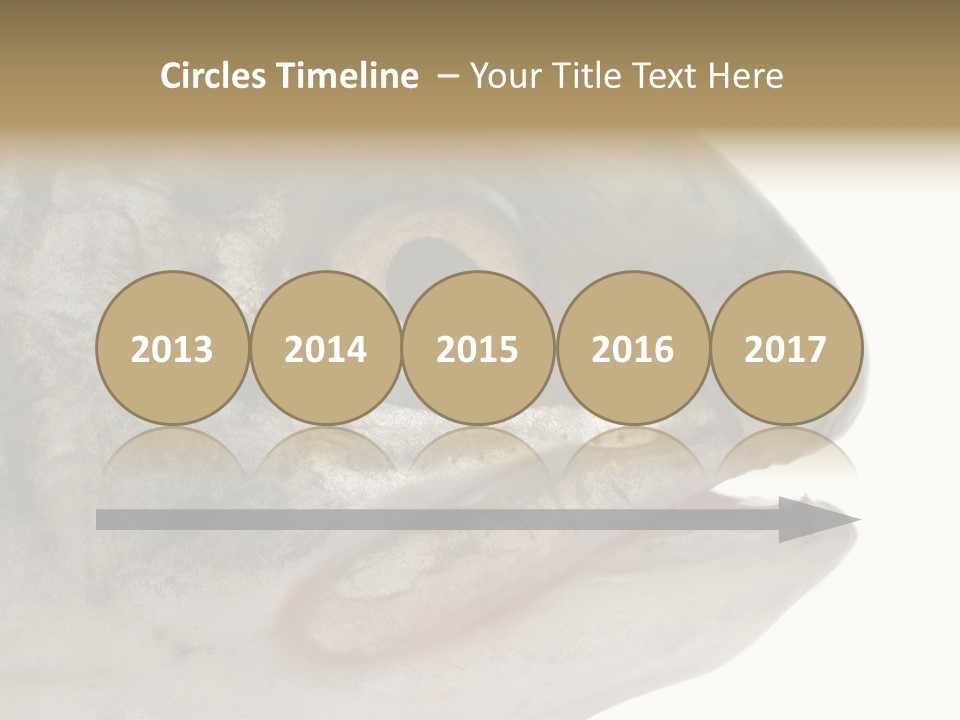 Real Macro Of Fish Head Isolated On White PowerPoint Template