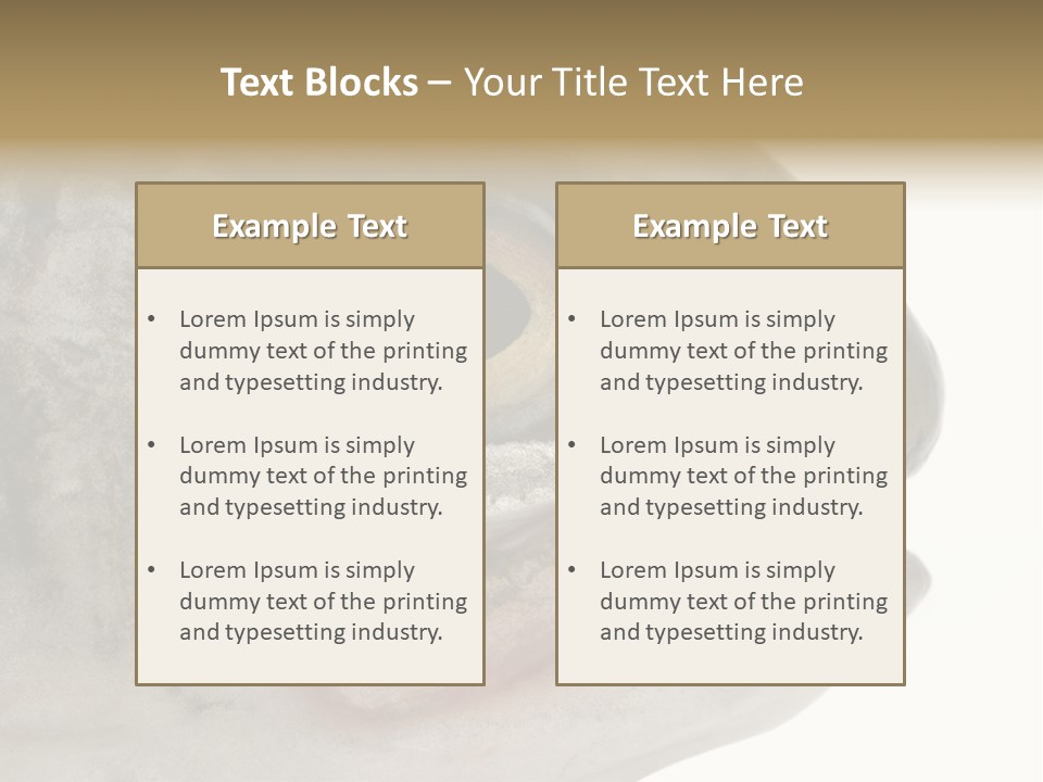 Real Macro Of Fish Head Isolated On White PowerPoint Template