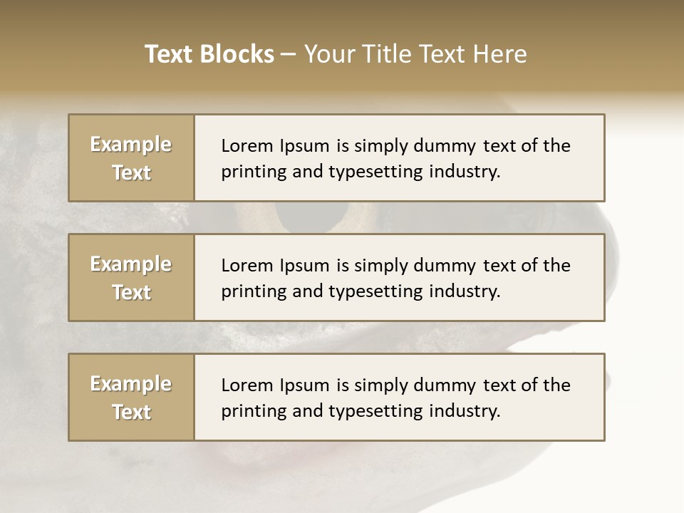 Real Macro Of Fish Head Isolated On White PowerPoint Template