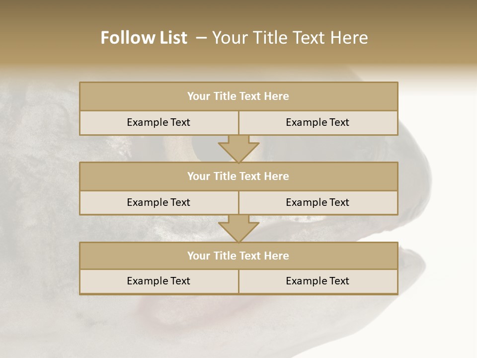 Real Macro Of Fish Head Isolated On White PowerPoint Template