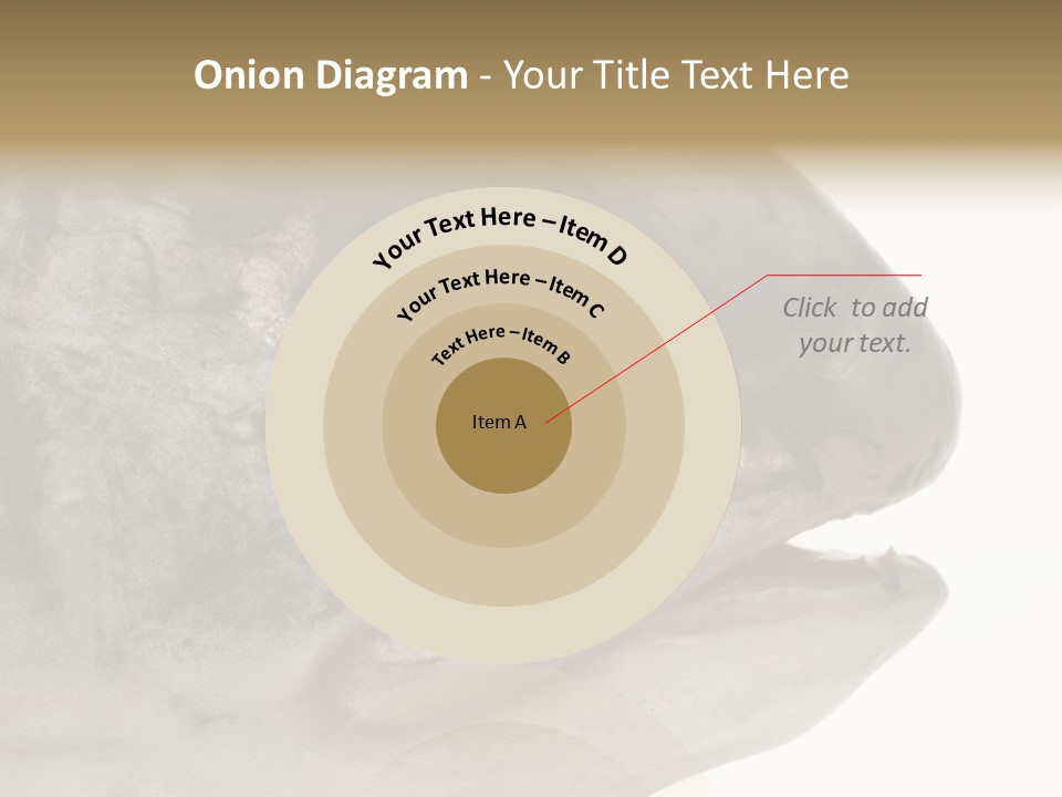 Real Macro Of Fish Head Isolated On White PowerPoint Template