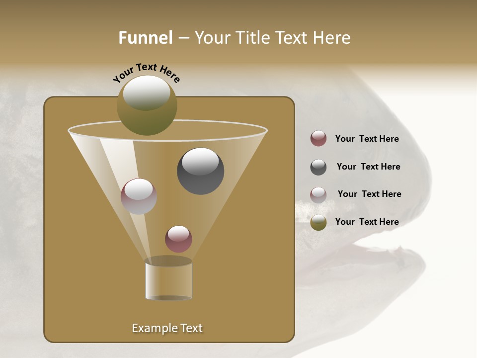 Real Macro Of Fish Head Isolated On White PowerPoint Template