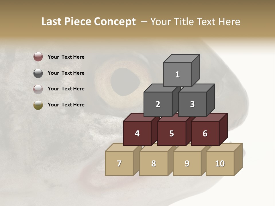 Real Macro Of Fish Head Isolated On White PowerPoint Template