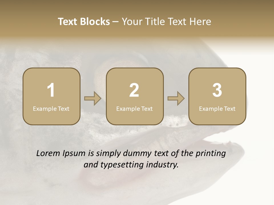 Real Macro Of Fish Head Isolated On White PowerPoint Template