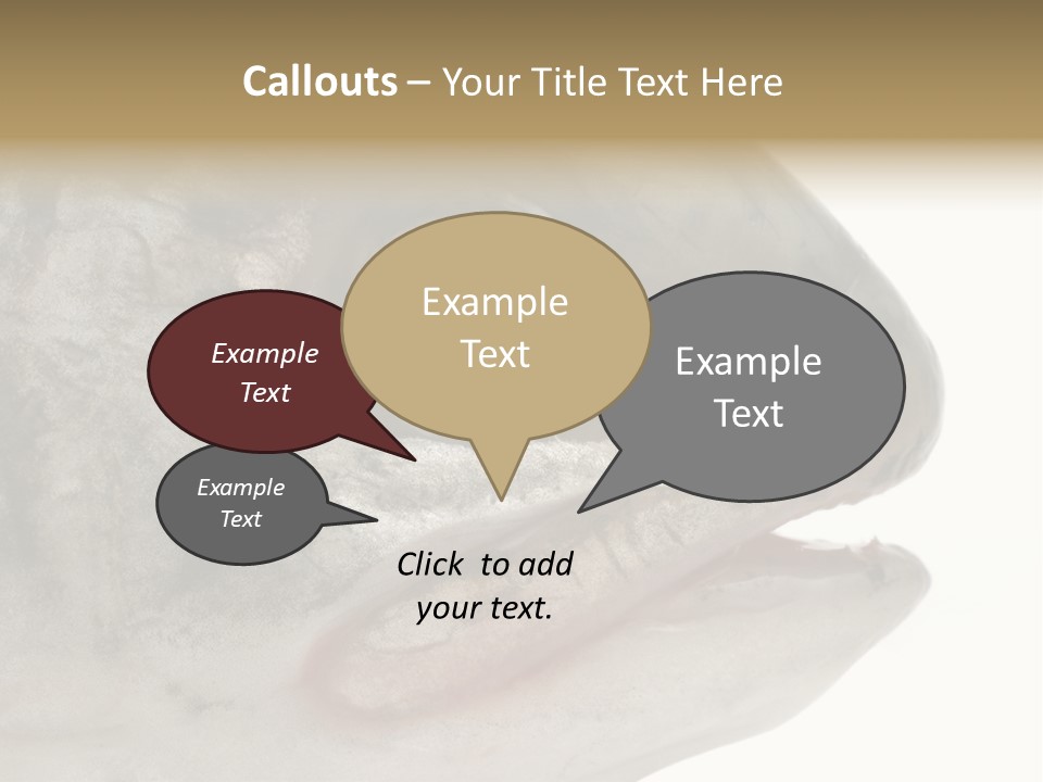 Real Macro Of Fish Head Isolated On White PowerPoint Template