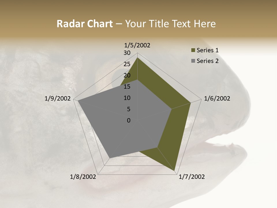 Real Macro Of Fish Head Isolated On White PowerPoint Template
