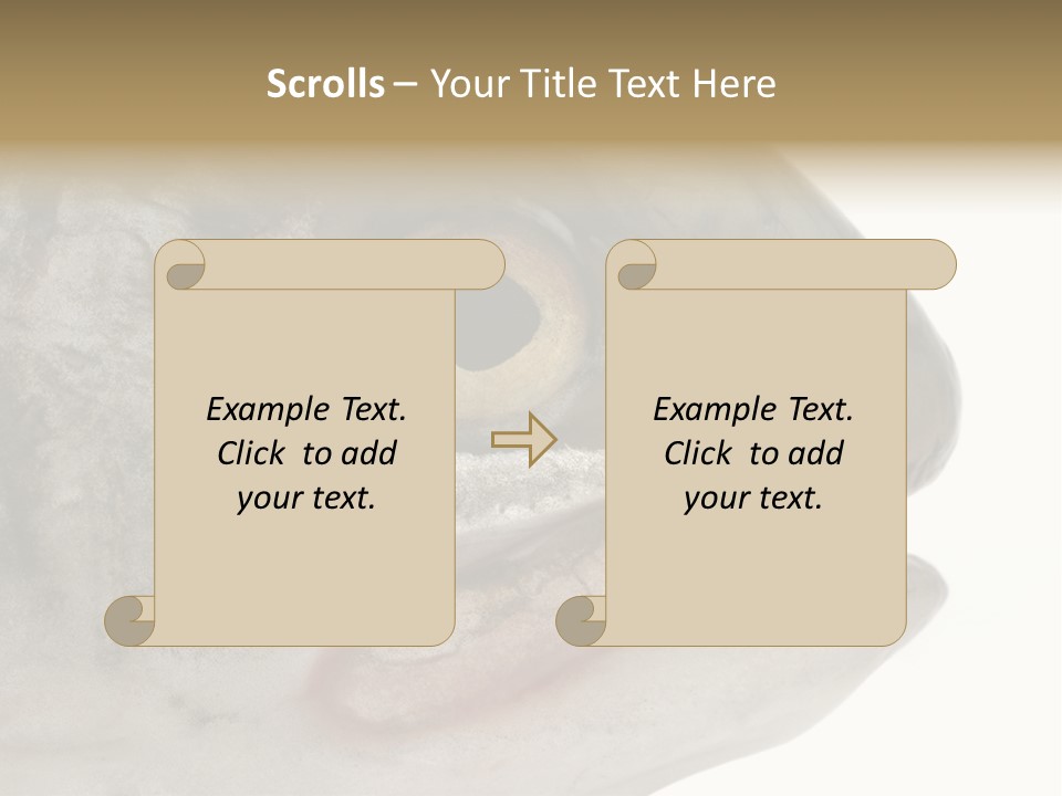 Real Macro Of Fish Head Isolated On White PowerPoint Template