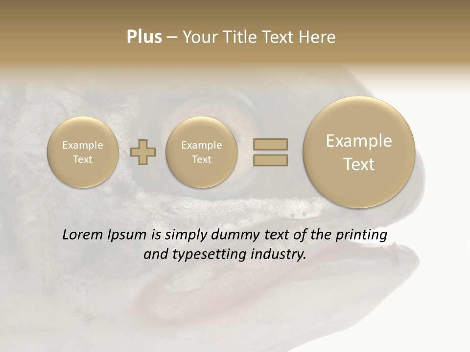 Real Macro Of Fish Head Isolated On White PowerPoint Template