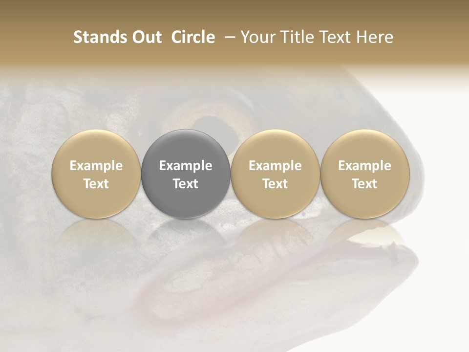 Real Macro Of Fish Head Isolated On White PowerPoint Template