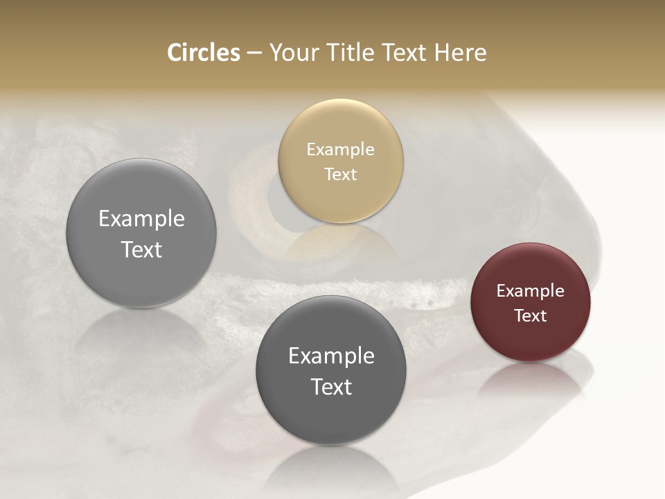 Real Macro Of Fish Head Isolated On White PowerPoint Template