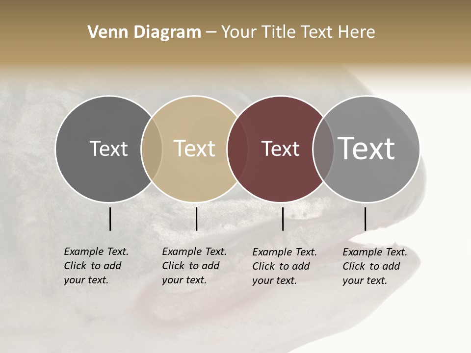 Real Macro Of Fish Head Isolated On White PowerPoint Template