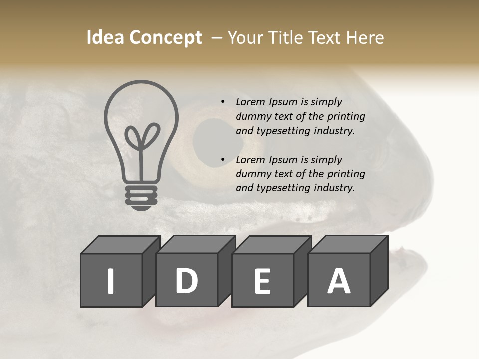 Real Macro Of Fish Head Isolated On White PowerPoint Template