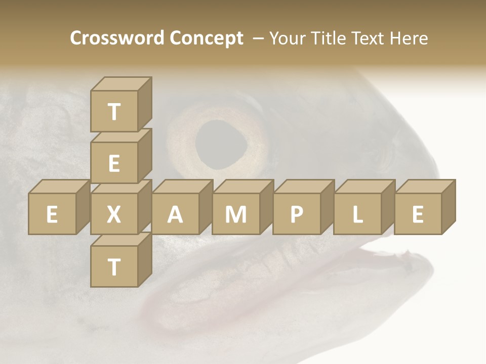 Real Macro Of Fish Head Isolated On White PowerPoint Template