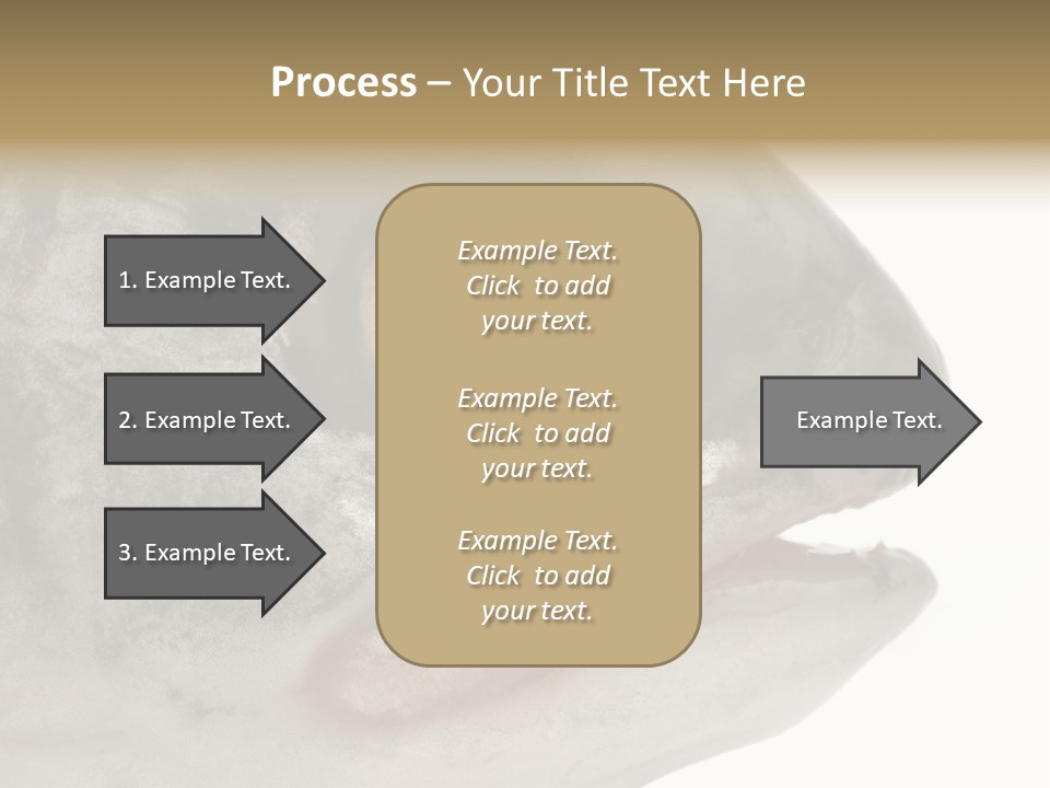 Real Macro Of Fish Head Isolated On White PowerPoint Template