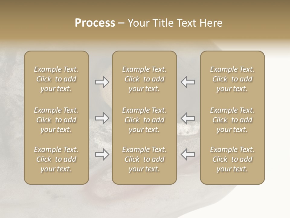 Real Macro Of Fish Head Isolated On White PowerPoint Template