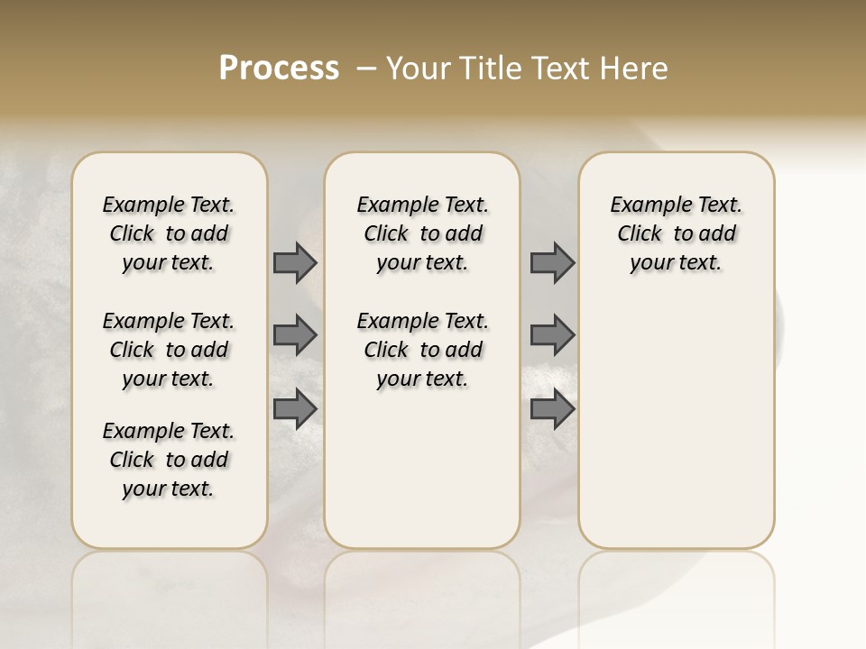 Real Macro Of Fish Head Isolated On White PowerPoint Template
