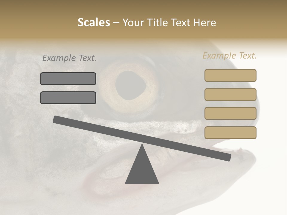 Real Macro Of Fish Head Isolated On White PowerPoint Template