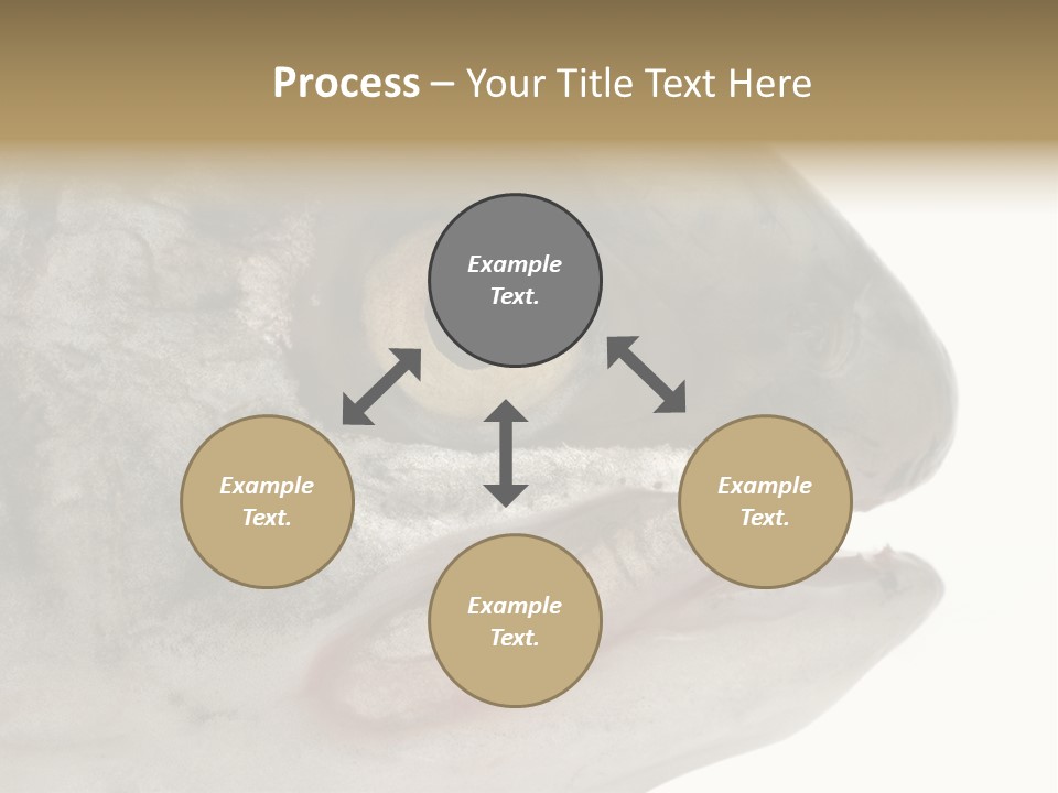 Real Macro Of Fish Head Isolated On White PowerPoint Template