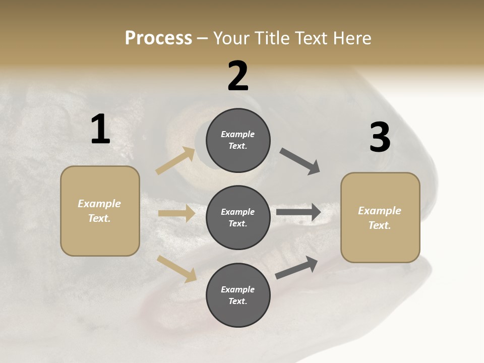 Real Macro Of Fish Head Isolated On White PowerPoint Template