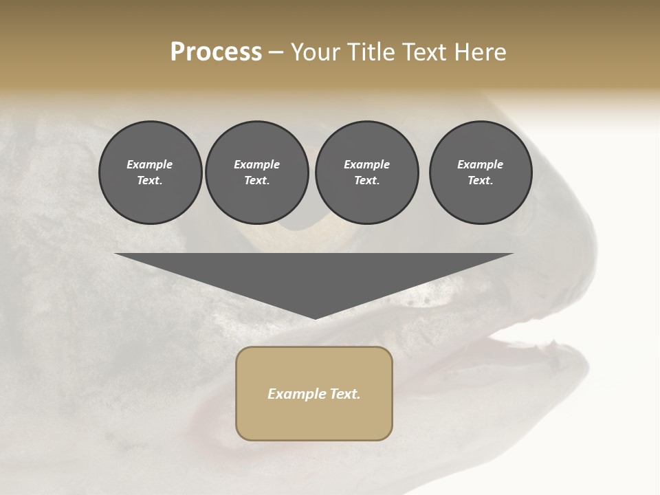 Real Macro Of Fish Head Isolated On White PowerPoint Template