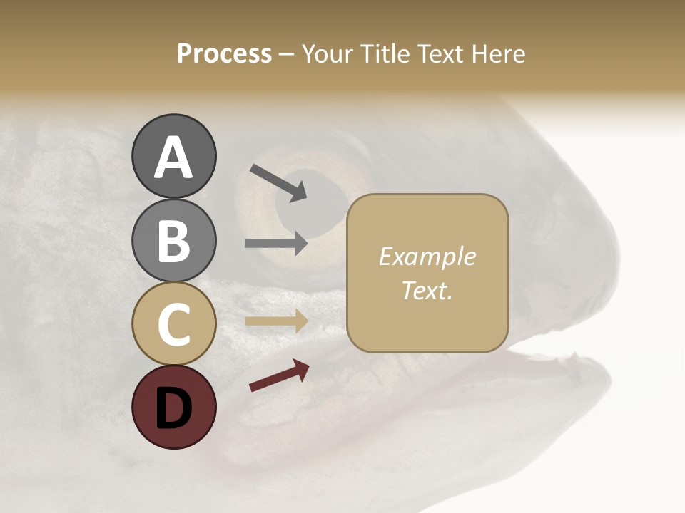 Real Macro Of Fish Head Isolated On White PowerPoint Template