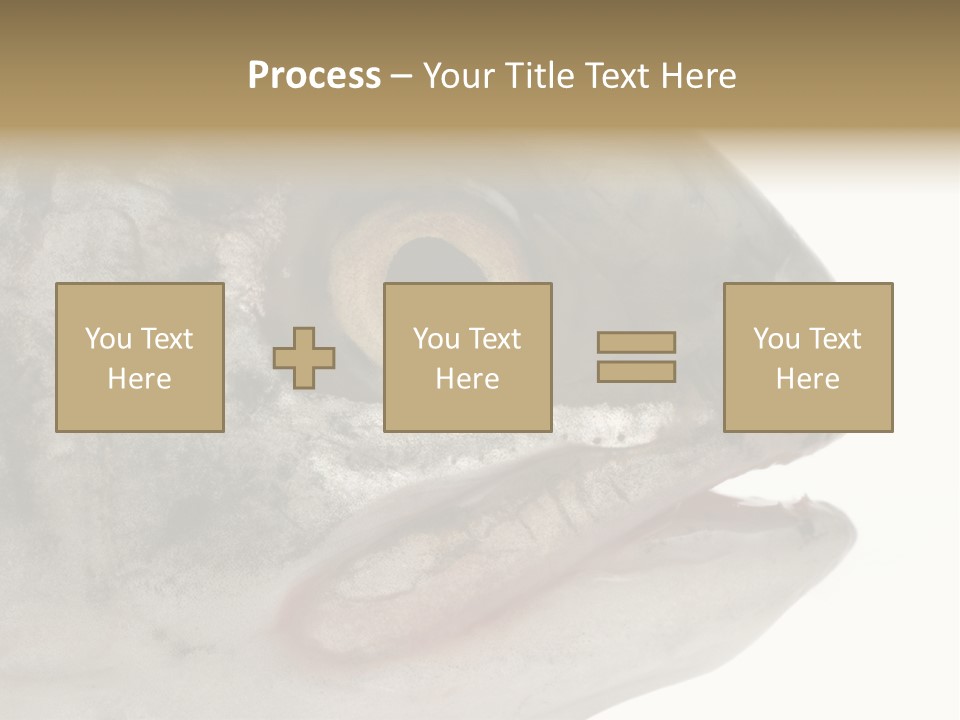 Real Macro Of Fish Head Isolated On White PowerPoint Template