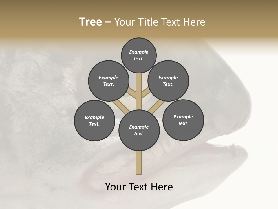 Real Macro Of Fish Head Isolated On White PowerPoint Template