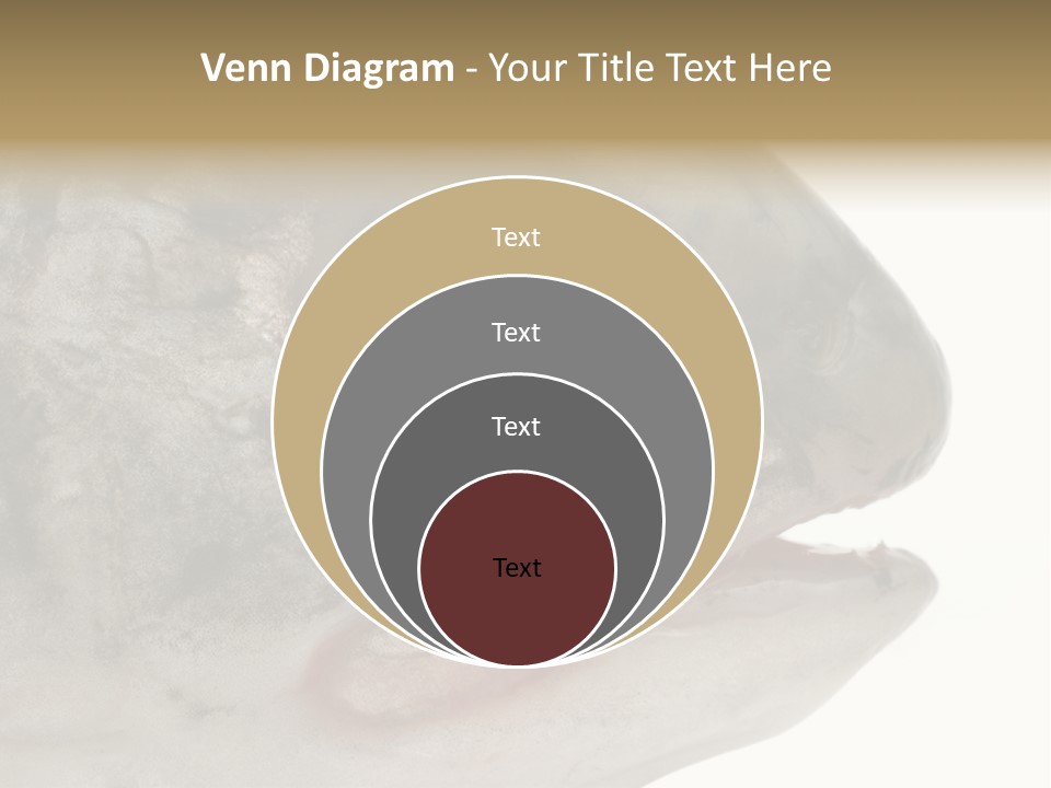 Real Macro Of Fish Head Isolated On White PowerPoint Template