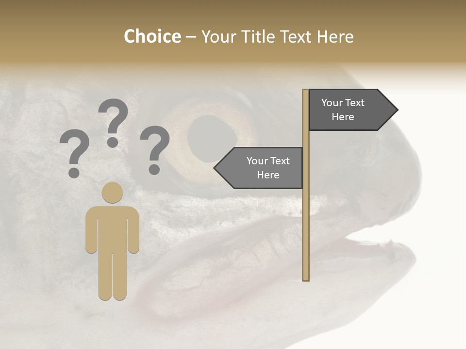 Real Macro Of Fish Head Isolated On White PowerPoint Template