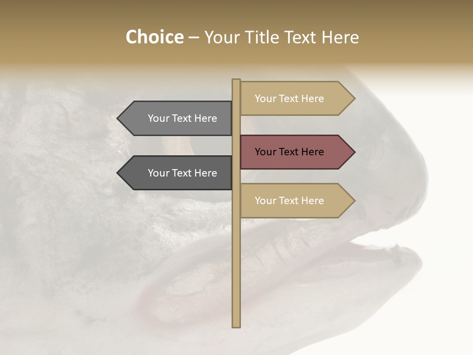 Real Macro Of Fish Head Isolated On White PowerPoint Template