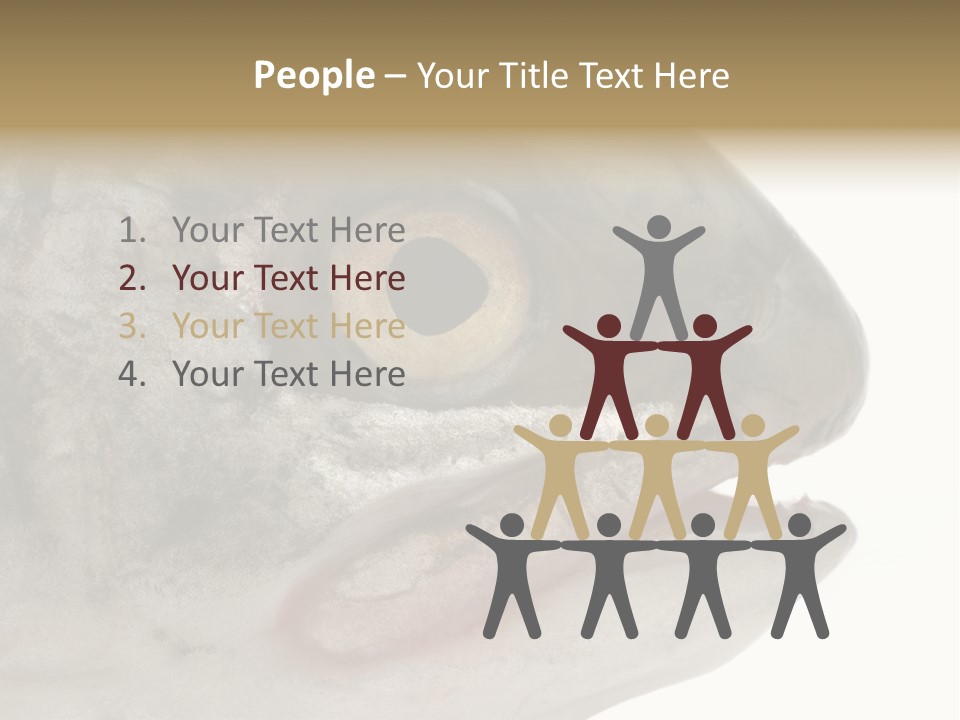 Real Macro Of Fish Head Isolated On White PowerPoint Template