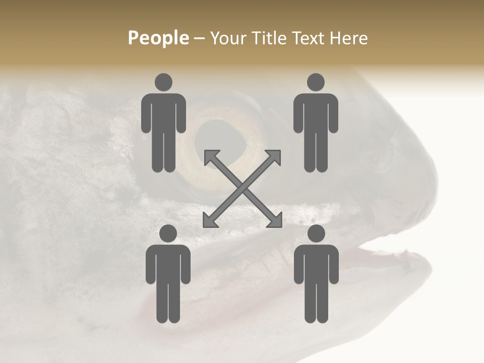 Real Macro Of Fish Head Isolated On White PowerPoint Template