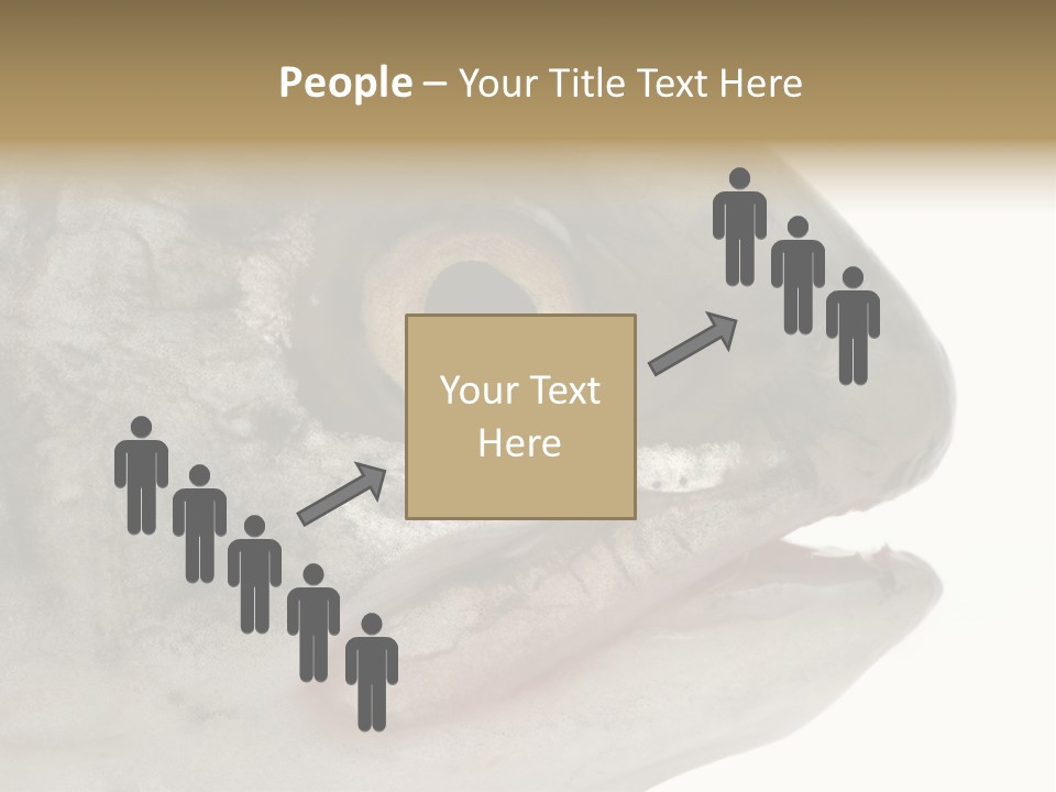 Real Macro Of Fish Head Isolated On White PowerPoint Template