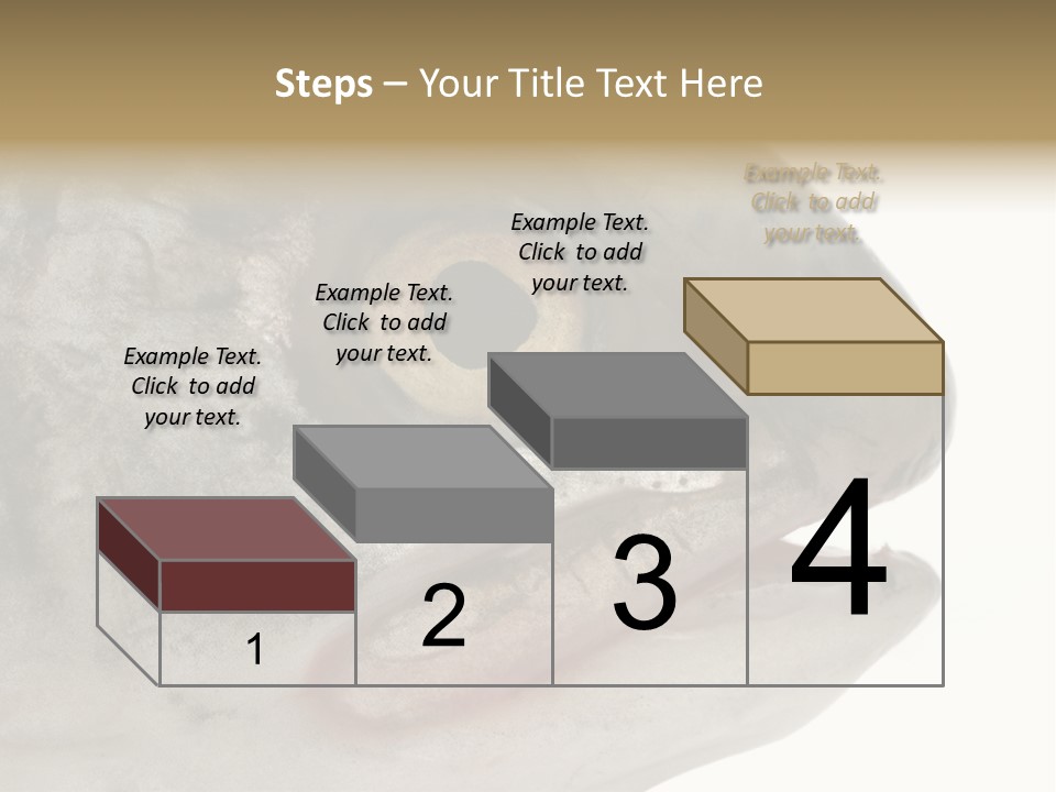 Real Macro Of Fish Head Isolated On White PowerPoint Template