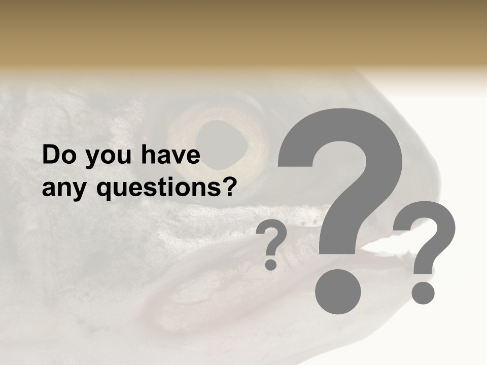 Real Macro Of Fish Head Isolated On White PowerPoint Template