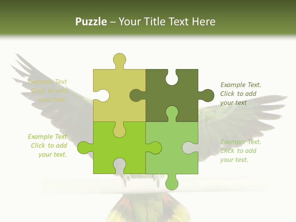 Yellow-Naped Parrot In Front Of A White Background PowerPoint Template