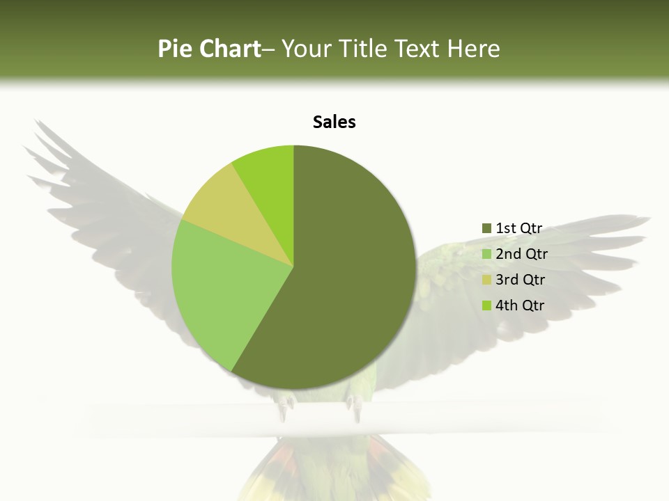 Yellow-Naped Parrot In Front Of A White Background PowerPoint Template