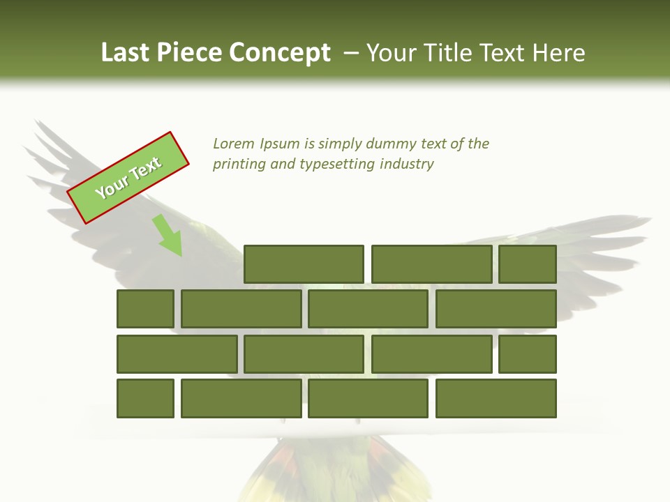 Yellow-Naped Parrot In Front Of A White Background PowerPoint Template