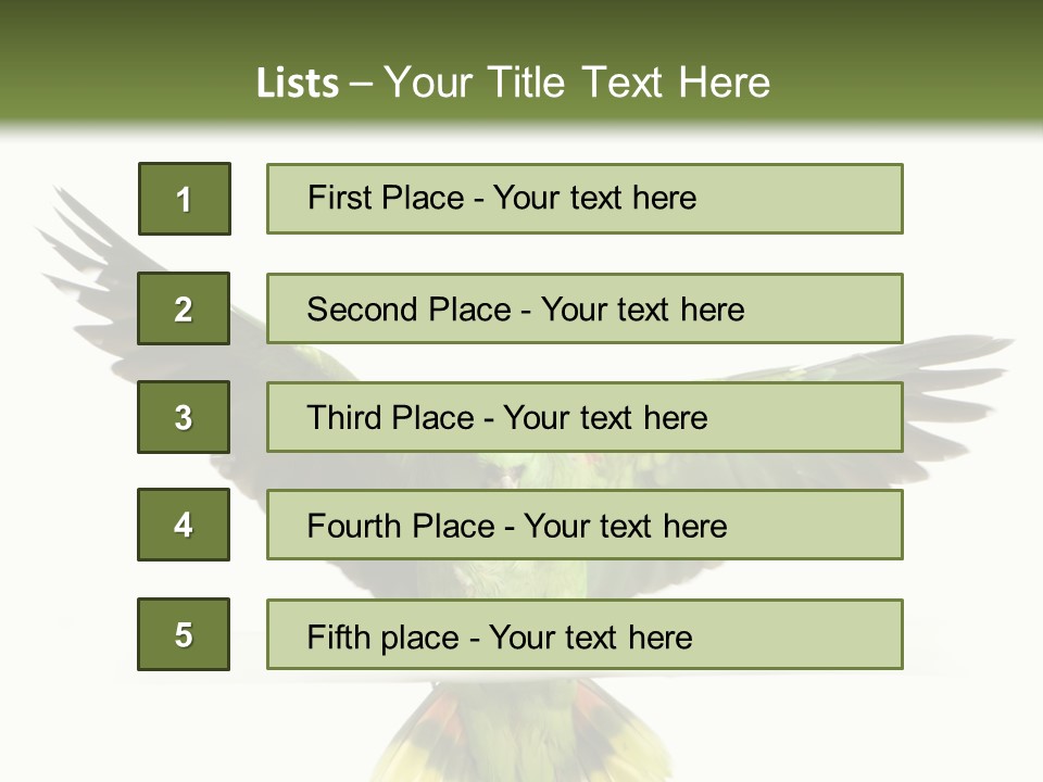 Yellow-Naped Parrot In Front Of A White Background PowerPoint Template