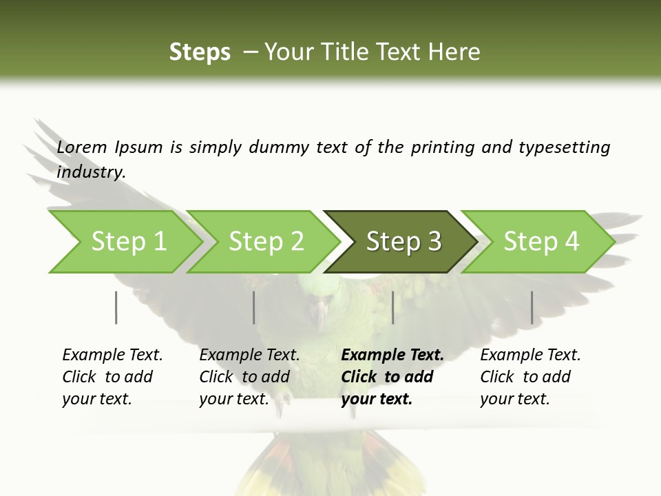 Yellow-Naped Parrot In Front Of A White Background PowerPoint Template