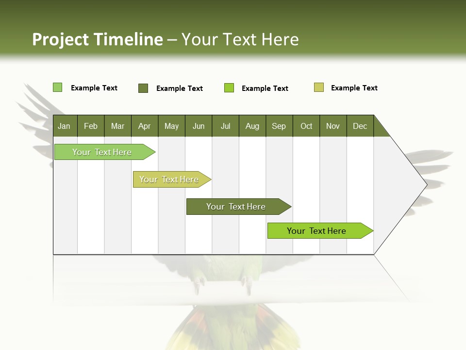 Yellow-Naped Parrot In Front Of A White Background PowerPoint Template