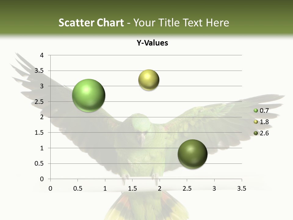 Yellow-Naped Parrot In Front Of A White Background PowerPoint Template