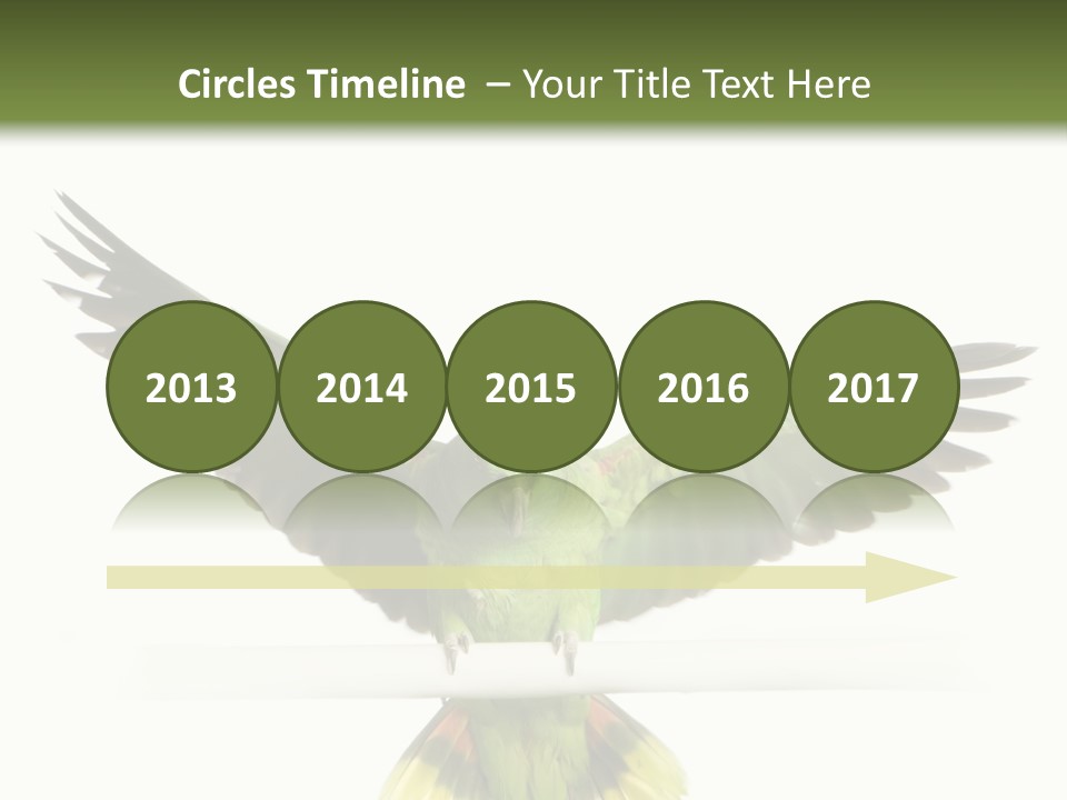 Yellow-Naped Parrot In Front Of A White Background PowerPoint Template