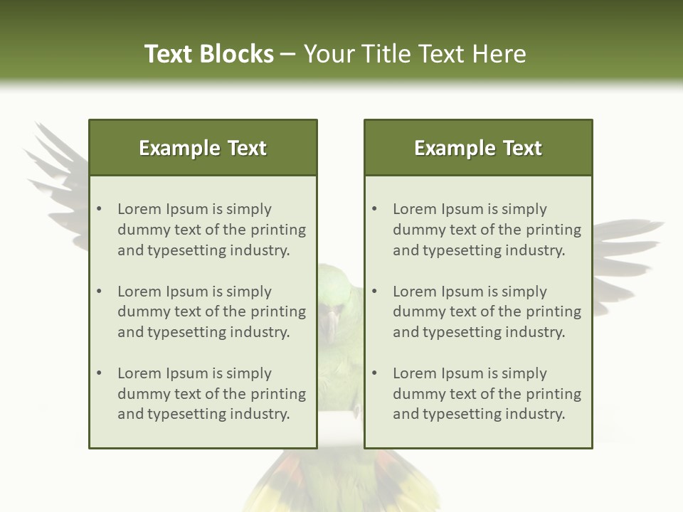 Yellow-Naped Parrot In Front Of A White Background PowerPoint Template