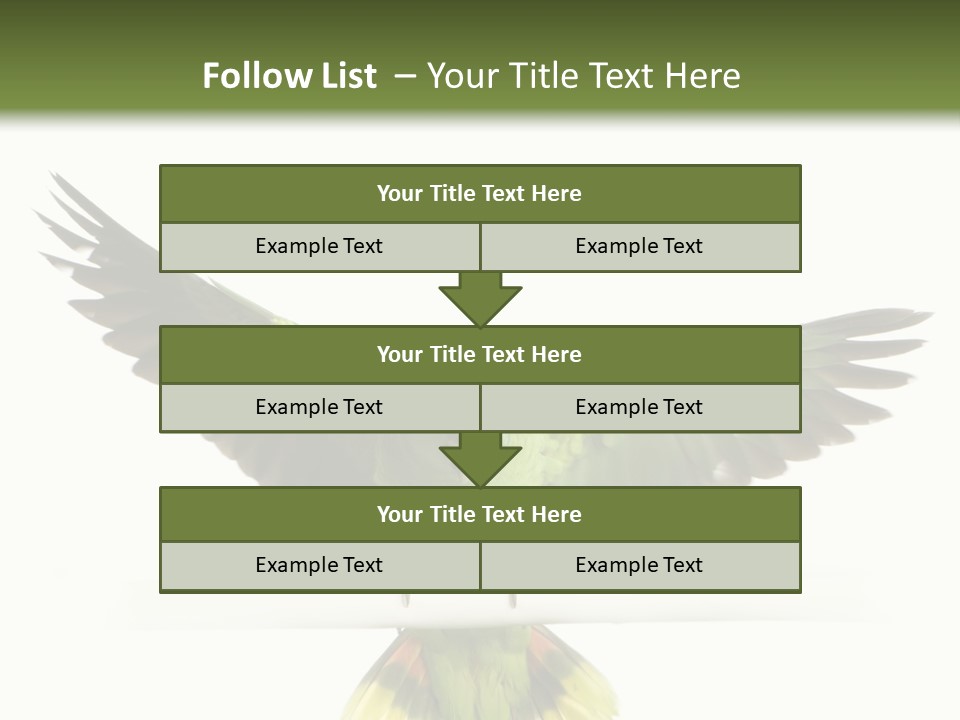 Yellow-Naped Parrot In Front Of A White Background PowerPoint Template
