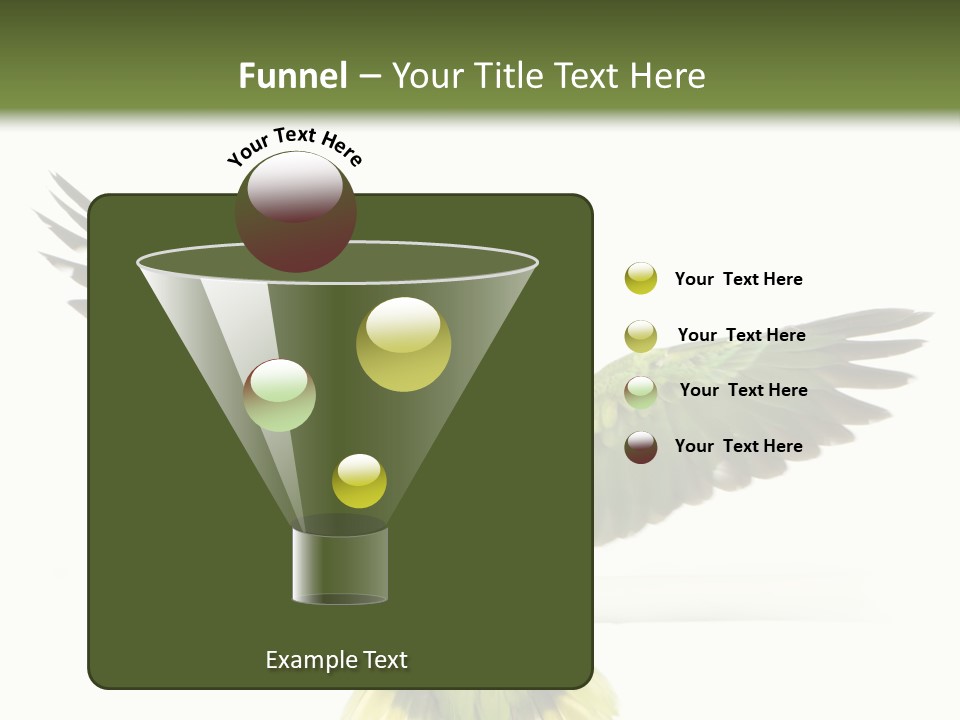 Yellow-Naped Parrot In Front Of A White Background PowerPoint Template