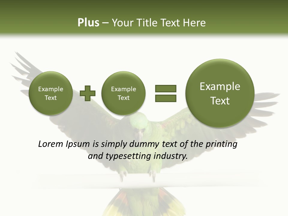 Yellow-Naped Parrot In Front Of A White Background PowerPoint Template