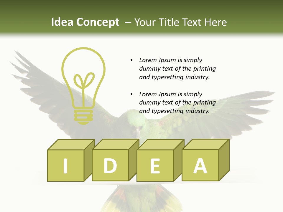 Yellow-Naped Parrot In Front Of A White Background PowerPoint Template